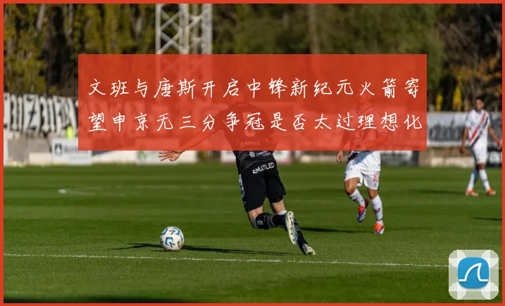 文班与唐斯开启中锋新纪元火箭寄望申京无三分争冠是否太过理想化